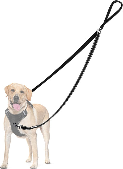 Petbonus Two Point Control Dog Leash, No Tangle Training Walking Leashes | Soft Padded Handle, Reflective, Works with No Pull Harnesses, Converts to Single Lead for Medium Large Dogs, Black1