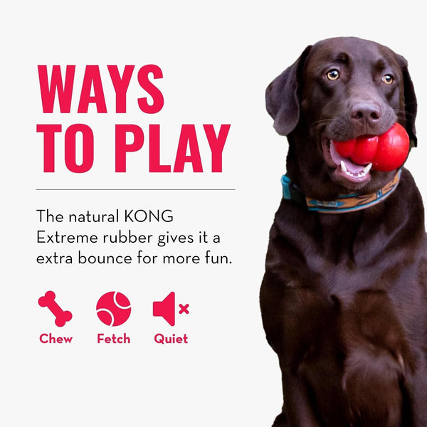 KONG Extreme Ball with Hole - Fetch Toy - Durable Dog Toy for Training, Interactive Playtime & More - Natural Extreme Rubber Ball - Black - for Medium/Large Dogs6