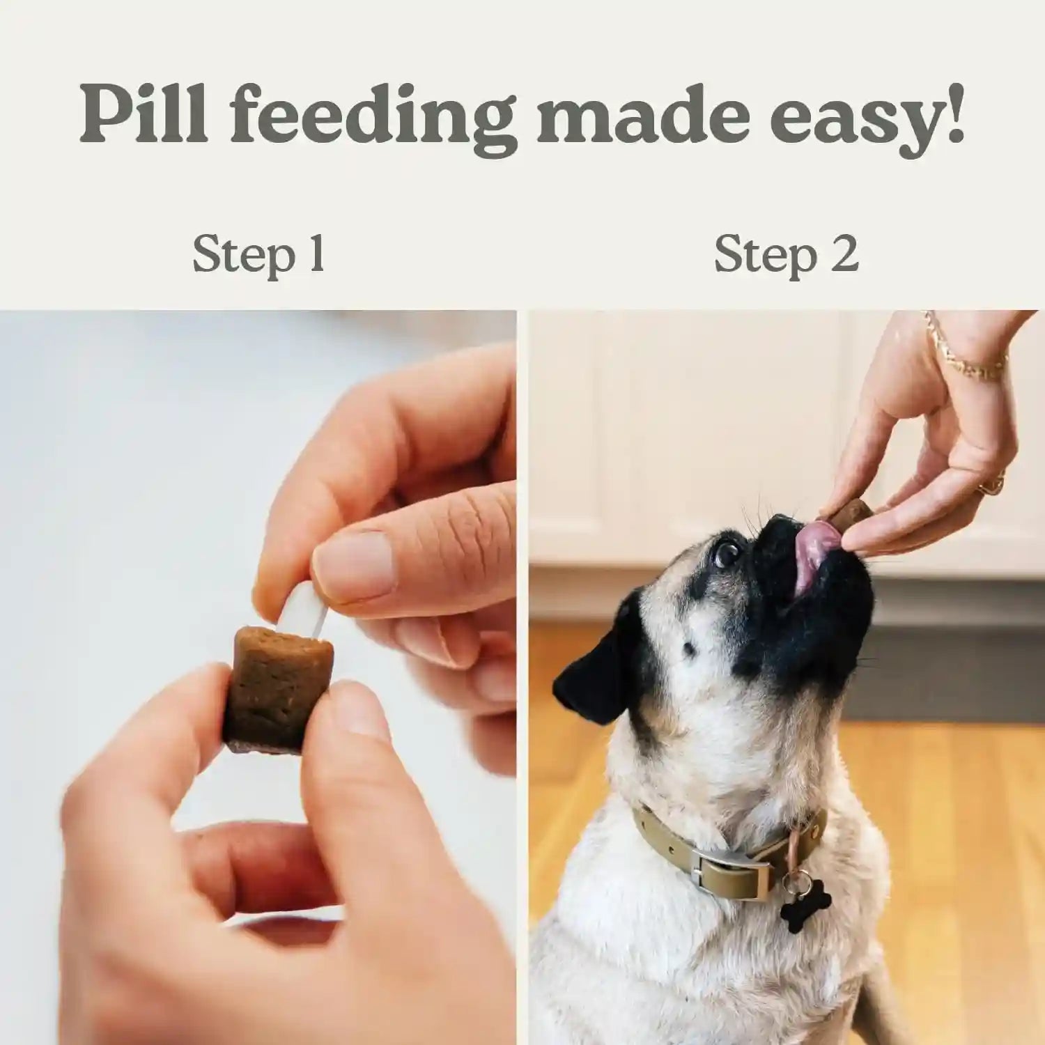 presidio-earthly-pill-buddy-naturals-pb-apple-recipe-pill-hiding-treats-for-dogs-make-a-perfect-pill-concealing-pocket-or-pouch-for-any-size-medication-30-servings