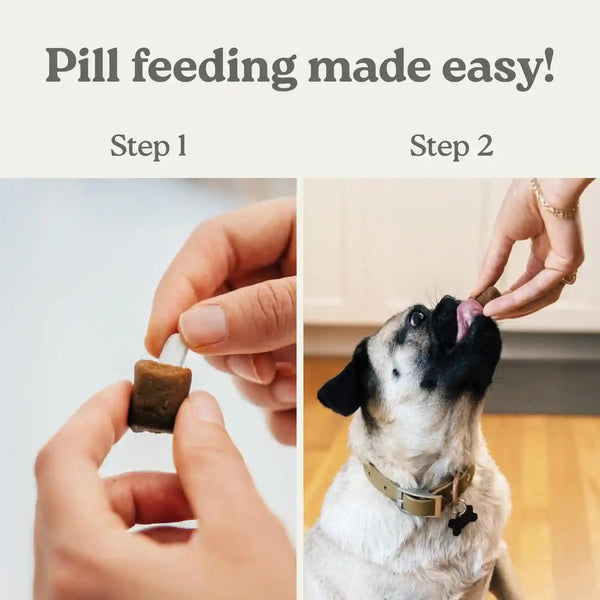 Presidio Earthly Pill Buddy Naturals - PB & Apple Recipe Pill Hiding Treats for Dogs - Make a Perfect Pill Concealing Pocket or Pouch for Any Size Medication - 30 Servings9