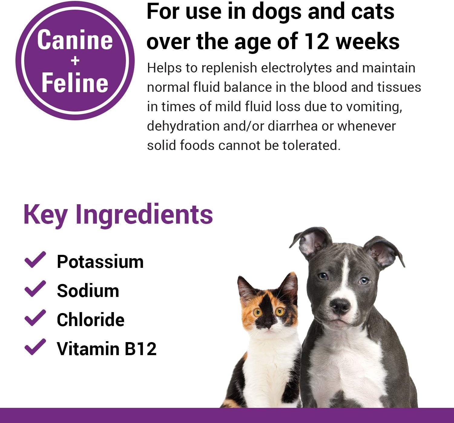 pet-a-lyte-oral-electrolyte-solution-for-dogs-and-cats-helps-replace-fluids-lost-from-pet-dehydration-diarrhea-vomiting-replaces-dog-electrolytes-32-oz