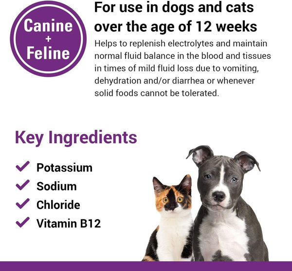 Pet-A-Lyte Oral Electrolyte Solution for Dogs and Cats – Helps Replace Fluids Lost from Pet Dehydration, Diarrhea, Vomiting – Replaces Dog Electrolytes – 32 Oz.5