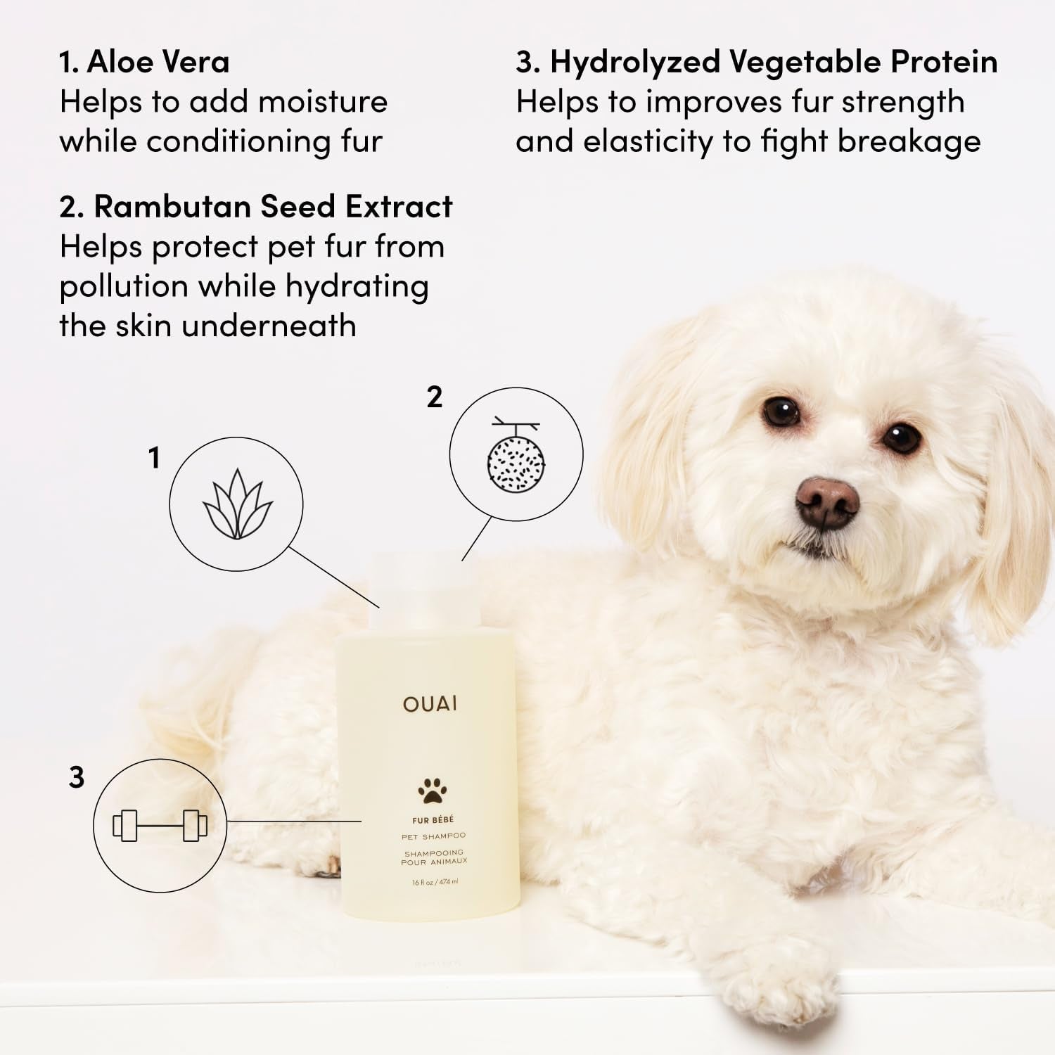 ouai-fur-bebe-pet-shampoo-cat-dog-shampoo-for-gentle-cleansing-hydration-shine-vegan-cruelty-free-pet-supplies-with-aloe-vera-panthenol-mercer-street-scent-16-fl-oz