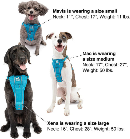 Kurgo Tru-Fit Smart Harness, Black, Small | Dog Walking Harness with Quick Release Buckles, Front & Back Leash Attachments, Reflective Trim, Includes Seatbelt Tether5