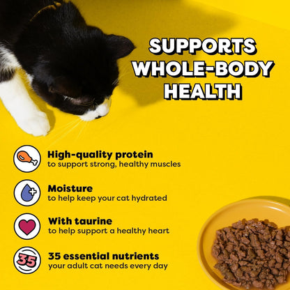 Temptations Bites in Gravy Wet Cat Food, Variety Pack, 3.5 Oz, 36 Count | Chicken, Seafood Medley, Backyard Cookout, Catnip Fever, No Artificial Flavors, 3.5 Oz. Trays, 100% Complete & Balanced4