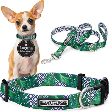 Lucky Love Dog - Easy Click Buckle Dog Collar with Leash Set Combo, Durable & Comfortable for Male & Female Dogs, Pet Collar for Medium Dogs, Secure Fit - Blackbird Combo, Medium88