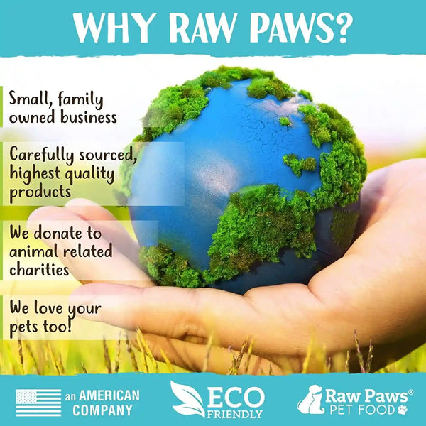 Raw Paws Silvervine Sticks for Cats (30-Count) - Dental Cat Chew Stick | Catnip Alternative - Matatabi Cat Toy - Silver Vine Sticks - Indoor Cat Enrichment & Chewing6
