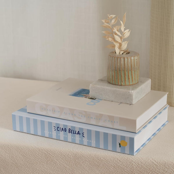 Beautiful Decorative Books - Set of 2 Coastal Boxes for Coffee Table Decor | Aesthetic Fake/Faux Books for Modern Home Decoration - Coastal Room Decor for Bookshelf or Mantel, Photo Storage/Keepsake Box9