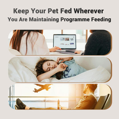 Automatic Cat Feeder: 4L Timed Cats Food Dispenser Programmable | Easy to Set, Dual Power, Precise Portion, Auto Pet Feeder with Desiccant Bag, Detachable Washable for Cats and Small Dog7