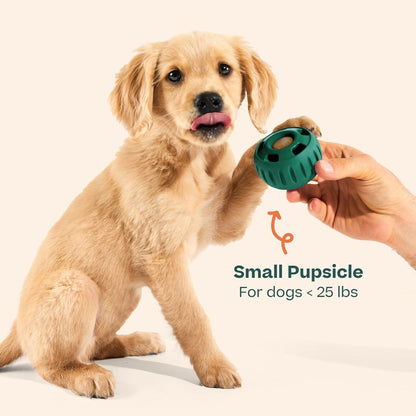 WOOF Pupsicle Interactive Dog Ball Toy for Dogs 25-75 Lbs - Green | Long-Lasting Enrichment Toy for Medium/Large Dogs, Easy-Fill Design, Low-Mess Play, Made of Natural Rubber, Easy to Clean9