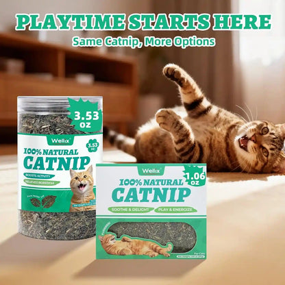 Wellix Fresh Dried Catnip for Cats, Used as Cat Nip Treats, 1.06Oz | Natural Dried Catnip Leaves, Flowers & Stems - Fresh Aroma, Non-Addtictive7