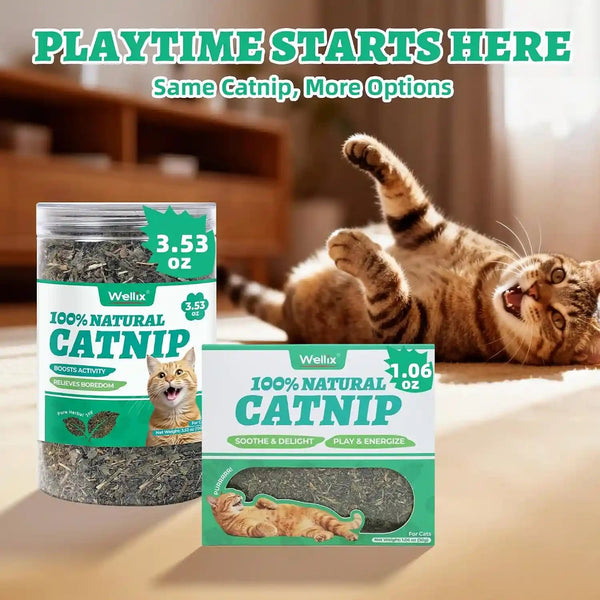 Wellix Fresh Dried Catnip for Cats, Used as Cat Nip Treats, 1.06Oz | Natural Dried Catnip Leaves, Flowers & Stems - Fresh Aroma, Non-Addtictive7
