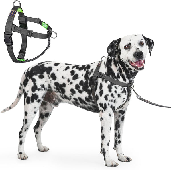 Freedom No Pull Dog Harness, Purple, Large | Designed for Hound Dog Train, Easy Walk with 2 Stainless D-Rings, Sewn-In Instructions Tags, 60-80 Lbs16