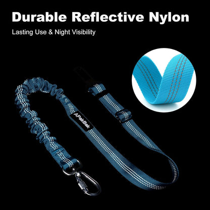 Dog Seat Belt for Car, Car Harness with Locking Aluminum Hook | Adjustable Reflective Nylon Seatbelt with Elastic Bungee, Travel Safety Restraint, for Small Medium Large Dogs, Light Blue5