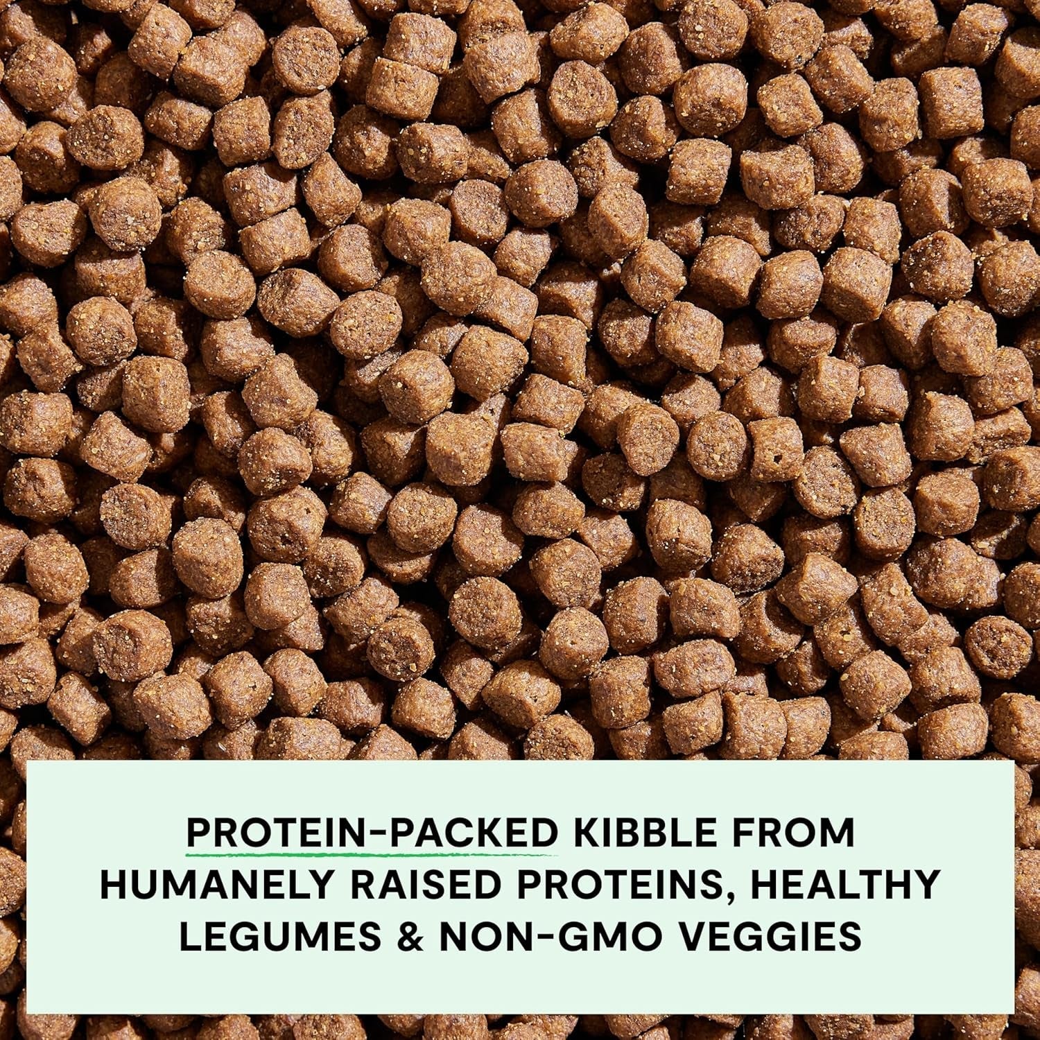 open-farm-grain-free-dry-dog-food-grass-fed-beef-kibble-22lb-bag-all-life-stages-all-breed-sizes-protein-rich-nutrient-dense-100-traceable-ingredients-non-gmo-fruits-veggies
