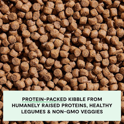 Open Farm Grain Free Dry Dog Food, Grass-Fed Beef Kibble, 22Lb Bag | All Life Stages, All Breed Sizes, Protein-Rich & Nutrient Dense, 100% Traceable Ingredients, Non-Gmo Fruits & Veggies.3
