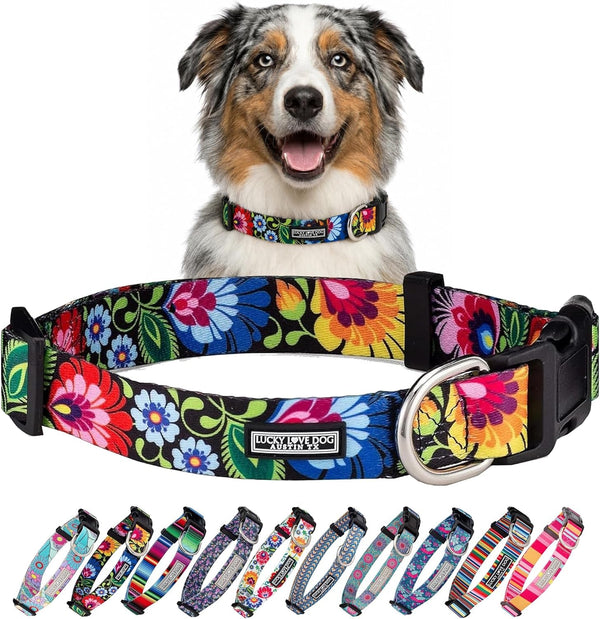 Lucky Love Dog - Easy Click Buckle Dog Collar with Leash Set Combo, Durable & Comfortable for Male & Female Dogs, Pet Collar for Medium Dogs, Secure Fit - Blackbird Combo, Medium15