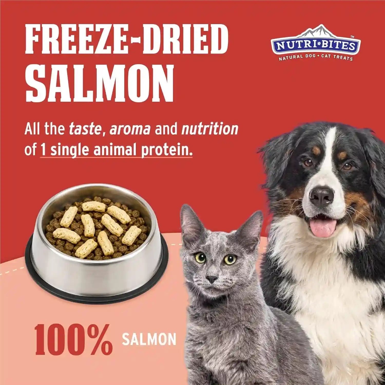 nutri-bites-freeze-dried-salmon-dog-and-cat-treats-14-oz