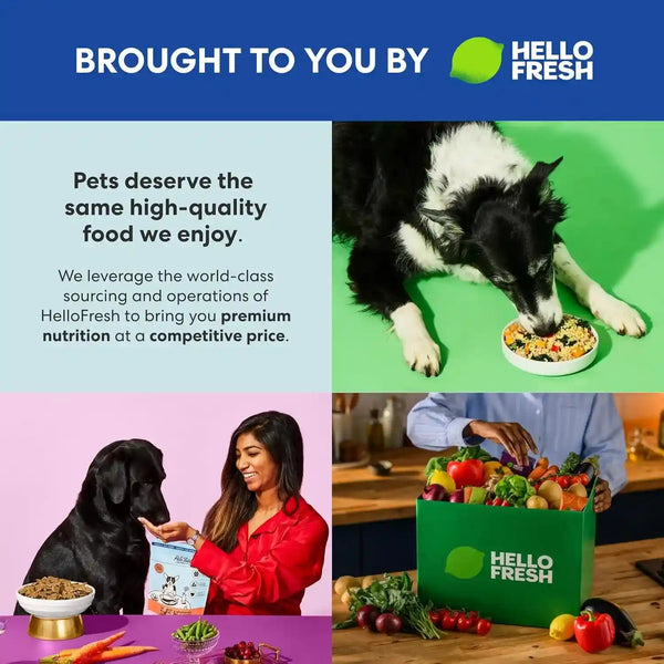 The Pets Table Chicken & Sweet Potato Air Dried Dog Food, 1 Lb / 16 Oz Bag5