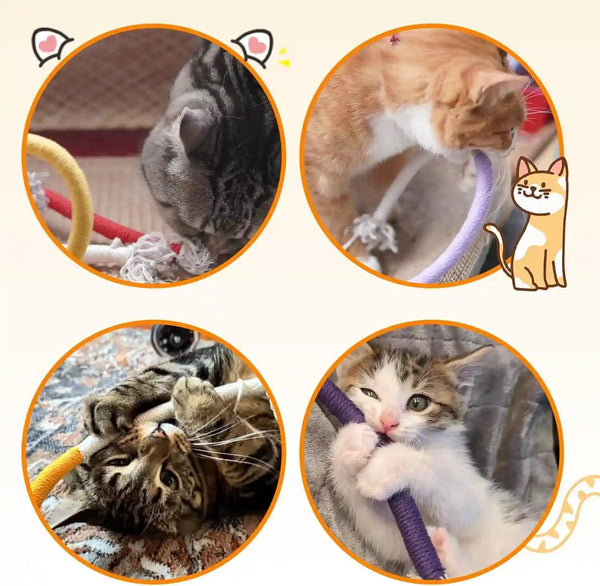 Tocirelo Cat Chew Rope Toy - 6Pack Cotton Cat Chew Toy for Teeth Cleaning, Interactive Kitten Teething Toys to Redirect Chewing from Cord, Cat Nip String Dental Toys for Bored Indoor Cats, 19.7Inch7