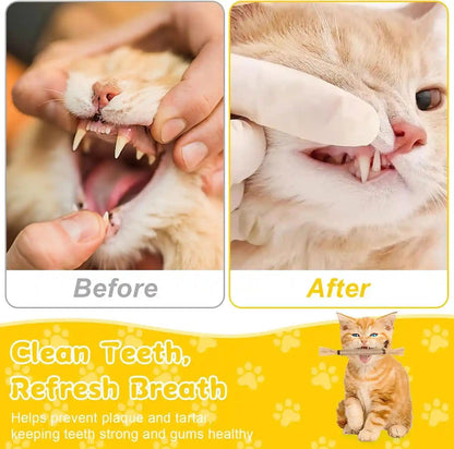 9 Pack Silvervine Sticks for Cats, Natural Cat Chew Stick Toys Set | Matatabi Dental Care Cat Treat for Indoor Cats/Kittens Dental Care Teeth Cleaning/Play5