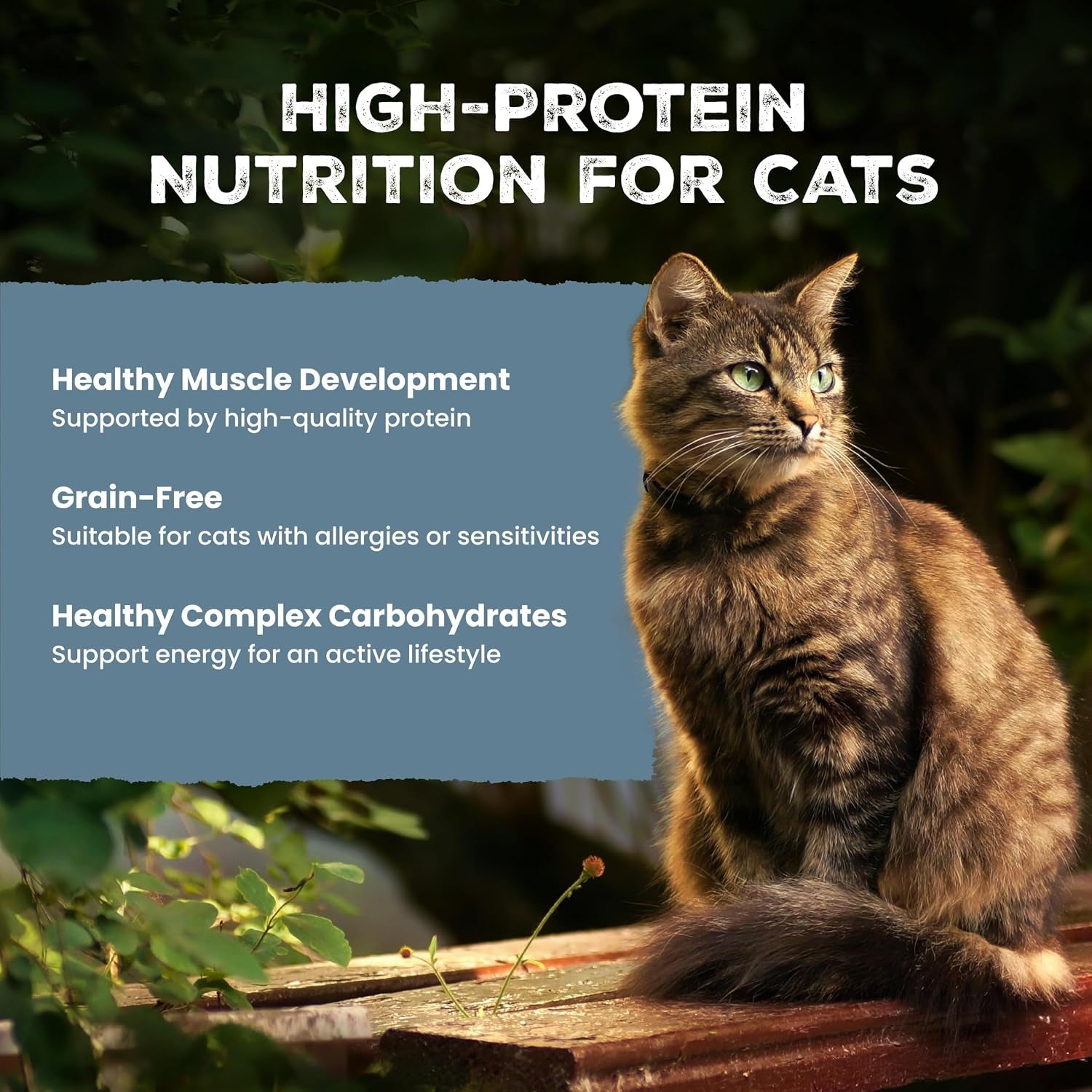 blue-buffalo-wilderness-variety-pack-adult-pate-wet-cat-food-3-oz-12-ct-chicken-salmon-and-duck-pates-4-of-each-high-protein-grain-free-recipes-supports-daily-hydration