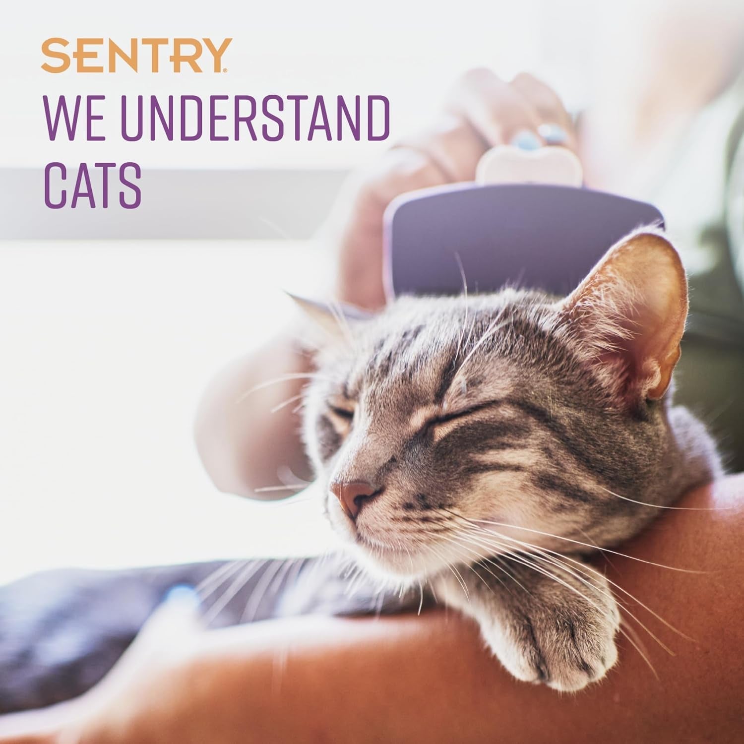 sentry-calming-chews-for-cats-pheromone-stress-aid-4oz-manages-stress-may-curb-destructive-behavior-pheromone-infused-daily-chew-clinically-tested-calming-formula