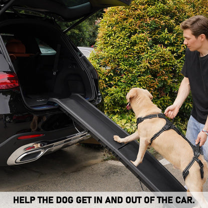 COODEO Mobility Dog Lift Harness, Support Sling & Walking Sling for Dogs, Pet Rear Leg Rehabilitation Support Vest, Dog Carrier for Senior Dogs with Joint Injuries, Arthritis, up Stair (Black, L)2