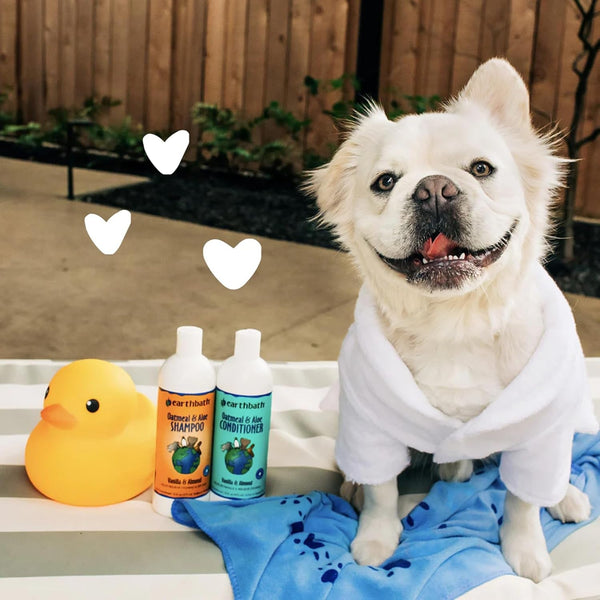 Earthbath Oatmeal & Aloe Dog Shampoo, Itchy, Dog Wash, 16 Oz (1 Pack) | Oatmeal Shampoo for Dogs, Dry Skin Relief, Made in USA, Cruelty Free Pet Shampoos - Vanilla & Almond4