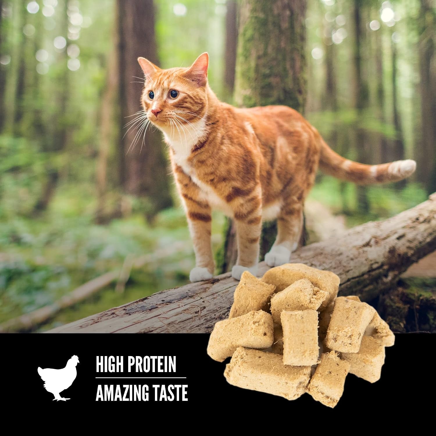 orijen-freeze-dried-cat-treats-grain-free-original-1-25oz-bag-99-animal-ingredients-freeze-dried-grain-free-high-protein-wild-caught-fish-free-run-poultry-1-calorie-each