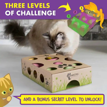 Cat Amazing Interactive Treat Maze and Puzzle CAT Toy3