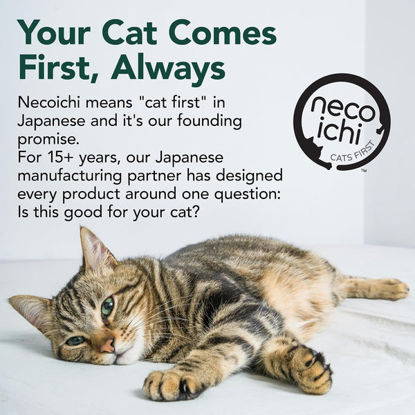 Necoichi Cardboard Cat Scratcher Bed for Indoor Cats - Cat Scratching Board, Horizontal Cat Scratch Pad Lounger with Reversible Usability and Extra Comfort for Lounge, Curved (23" Large, Dark Cherry)8