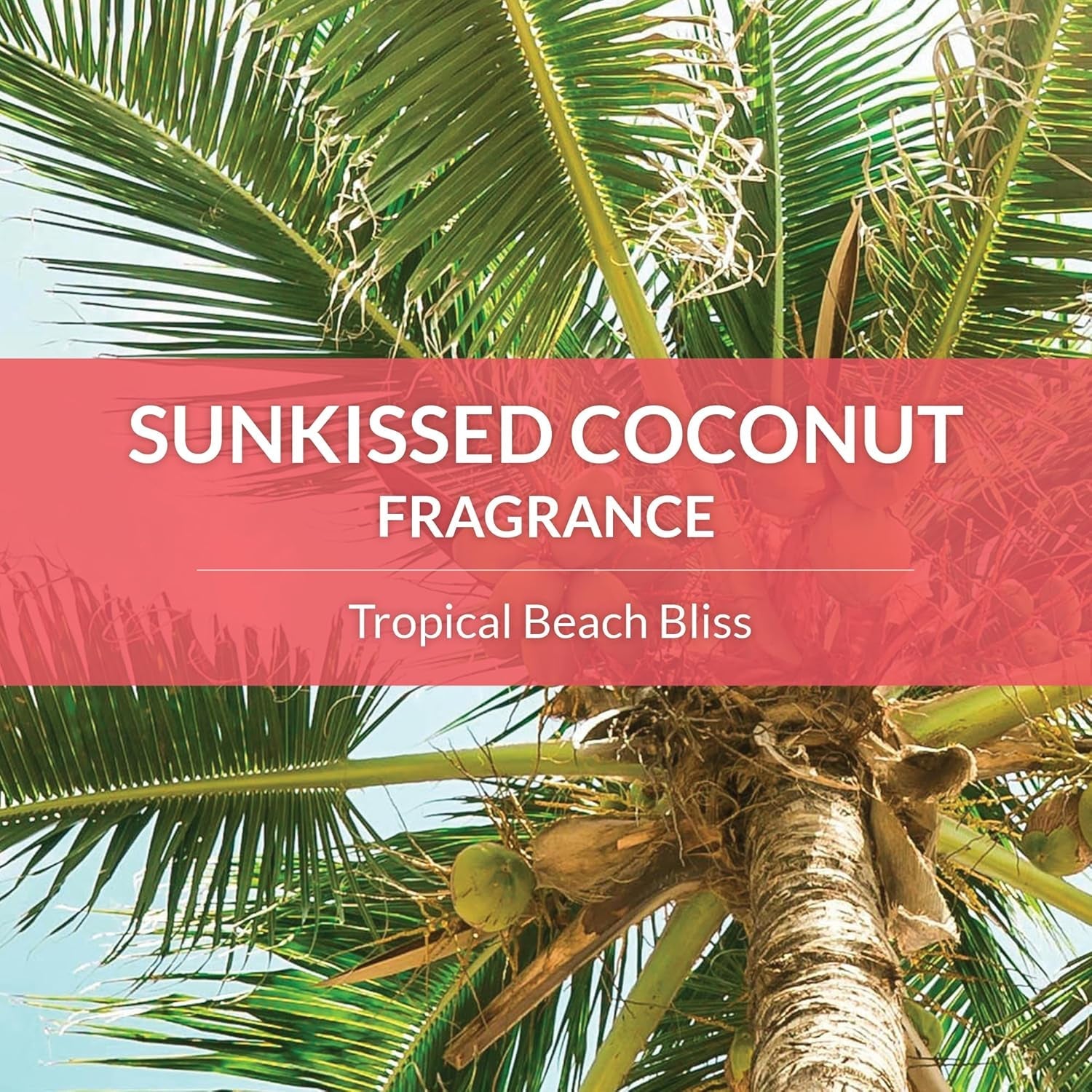 skouts-honor-probiotic-dog-deodorizing-spray-sunkissed-coconut-8-oz-hydrating-daily-use-formula-with-avocado-oil-and-omega-3s-microbiome-friendly-paraben-and-sulfate-free