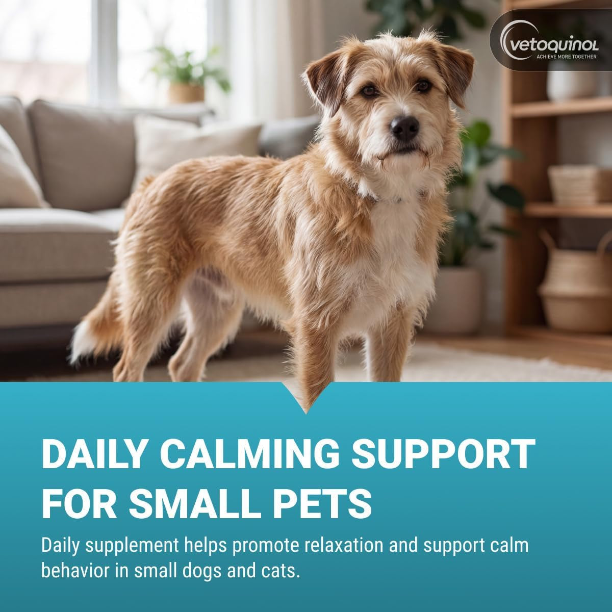 vetoquinol-zylkene-calming-oral-capsule-for-small-cats-dogs-11-22-lb-for-behavior-occasional-anxiety-perfect-for-boarding-vet-visits-celebrations-non-drowsy-lactose-free-30-capsules
