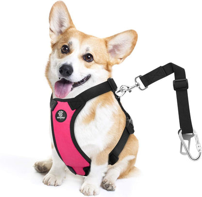 Vavopaw Dog Seat Belt Vest Harness for Car,2 in 1 Seatbelt Buckle | Soft Breathable Mesh,Adjustable Buckle,Nylon,Heavy Duty Pet Safety Seat Belts for Small Medium Large Pets,Black,L28
