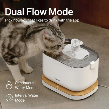 PETLIBRO Cat Water Fountain, App Monitoring Pet Fountains for Cats Indoor with Stainless Steel Tray, 2.5L/84Oz Dockstream Automatic Water Dispenser for Drinking, 2.4G Wi-Fi Smart Bowl Inside8