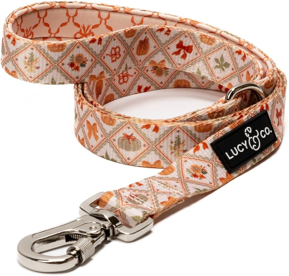 lucy-co-cheery-cherries-designer-dog-leash-for-small-to-large-dogs-padded-handle-for-comfort-large-red-gingham-cherries-5-foot