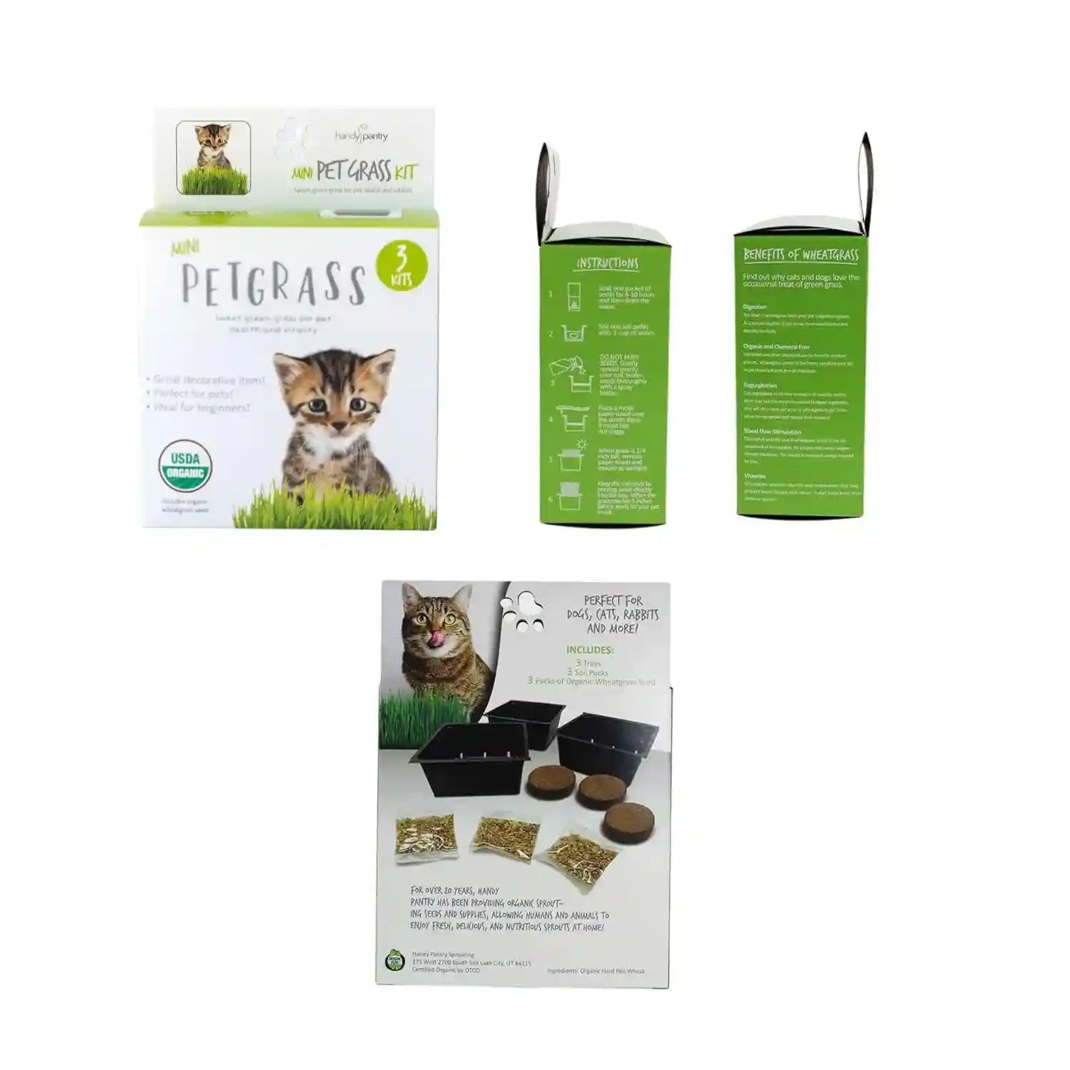 handy-pantry-organic-cat-grass-kit-includes-3-trays-soil-pucks-and-3-packs-non-gmo-wheatgrass-seed-a-healthy-treat-for-cats-dogs-rabbits-more