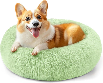 Hoewina Dog & Cat Bed for Indoor Cats, 20In Calming Donut Bed for Puppy and Kitten, Washable round Fluffy Pet Bed for Small Medium Dogs and Cats (Light Grey)43