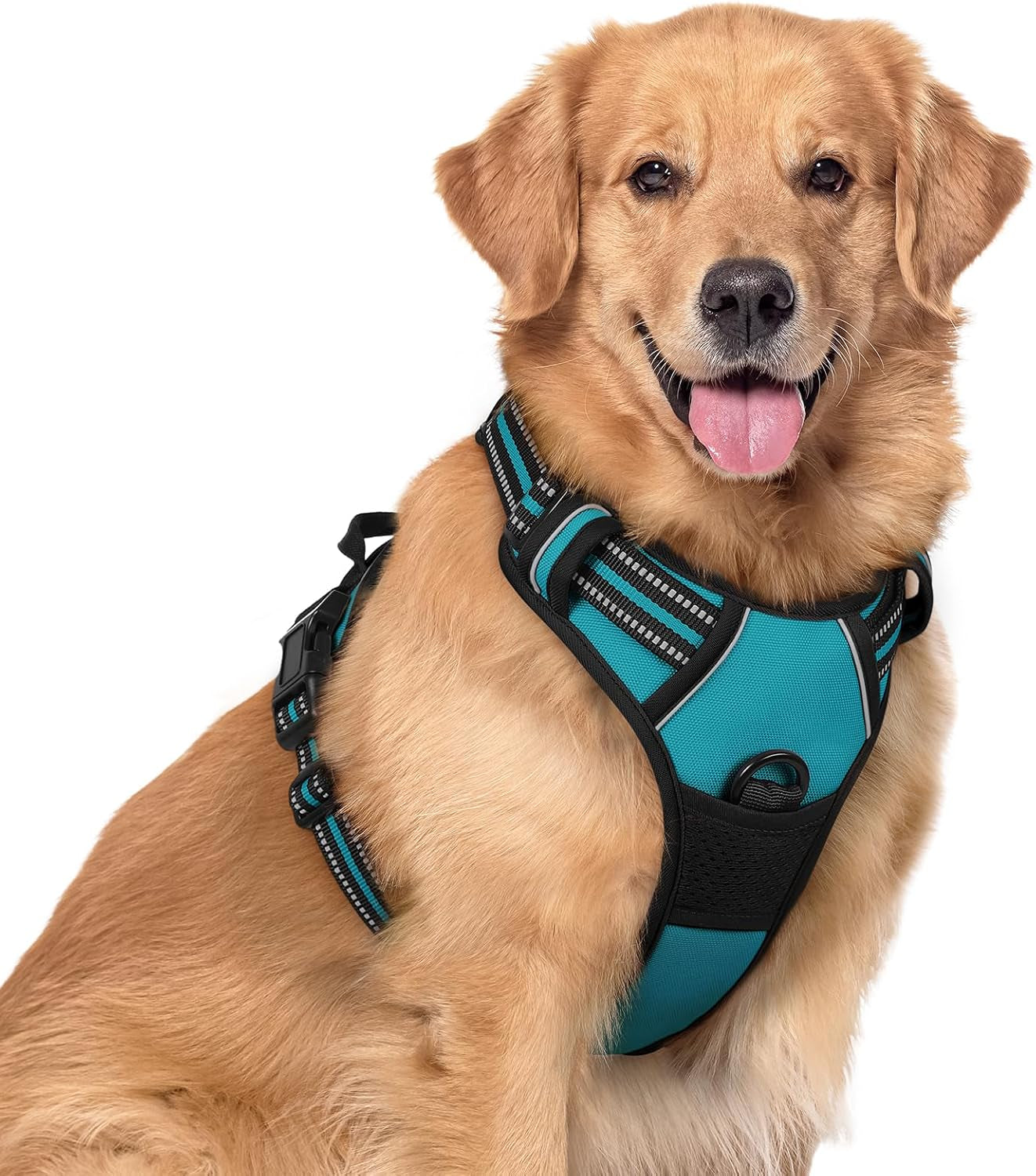 rabbitgoo-dog-harness-no-pull-for-large-dogs-with-2-leash-clips-pet-vest-no-choke-with-handle-adjustable-soft-padded-reflective-easy-control-for-walking-black-large