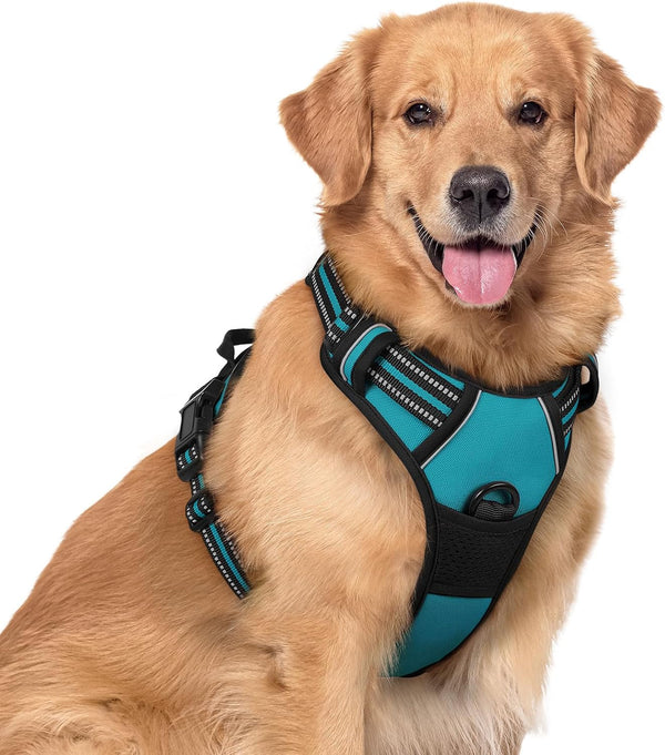 Rabbitgoo Dog Harness, No Pull for Large Dogs with 2 Leash Clips, Pet Vest | No Choke with Handle, Adjustable Soft Padded, Reflective, Easy Control for Walking, Black, Large115