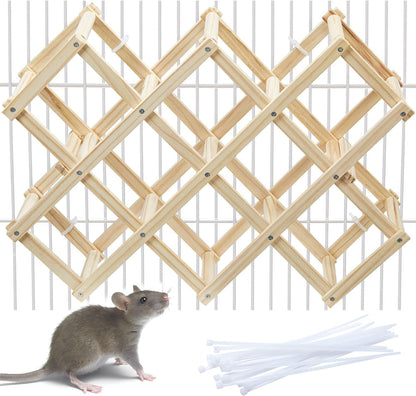 Kiln-Dried Wood Rat Climb Toy, Hanging Cage Ladder Activity (M, 1Pc) | Natural Rat Cage Bridge, Multiple Openings & Directional Ramps Offer Challenges to Satisfy Rats' Instincts for Explore & Play8
