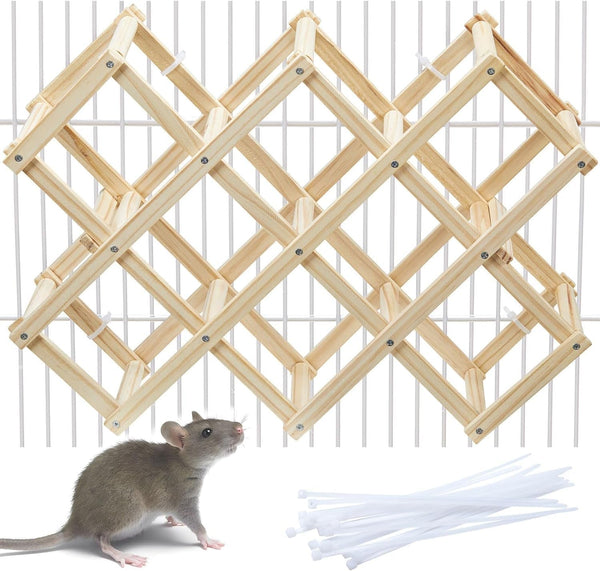 Kiln-Dried Wood Rat Climb Toy, Hanging Cage Ladder Activity (M, 1Pc) | Natural Rat Cage Bridge, Multiple Openings & Directional Ramps Offer Challenges to Satisfy Rats' Instincts for Explore & Play8