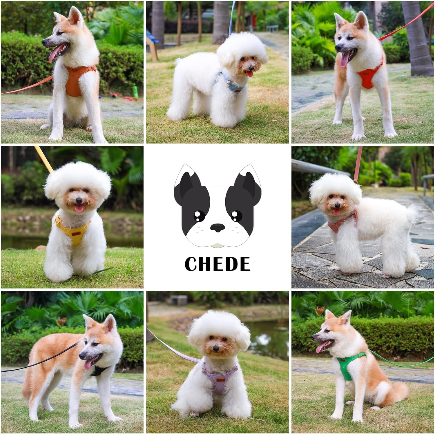 chede-no-pull-puppy-harness-and-multifunction-dog-leash-set-8-colors-soft-adjustable-no-choke-escape-proof-cute-lightweight-pet-vest-harness-for-small-and-medium-dog