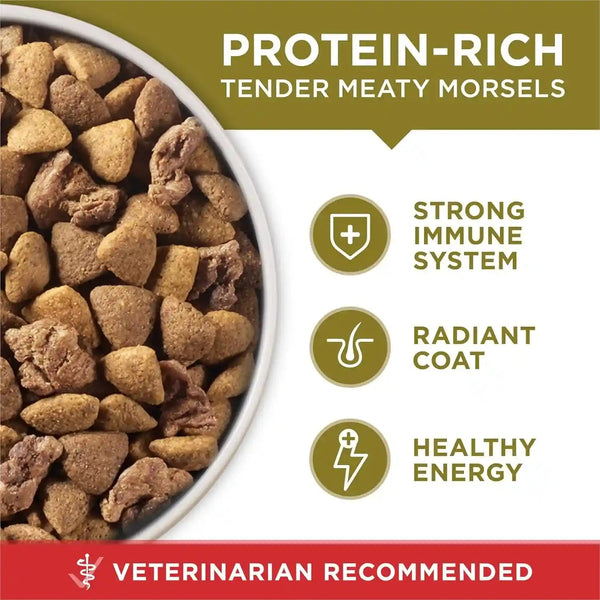 Purina ONE Dry Dog Food Lamb and Rice Formula - 16.5 Lb. Bag8