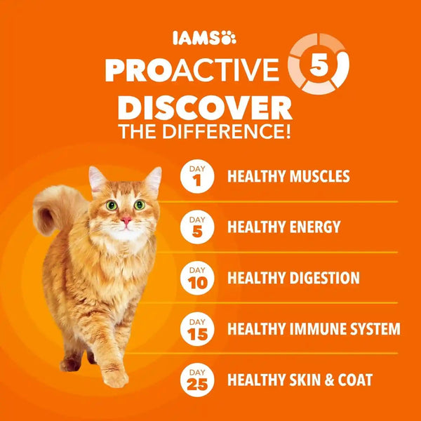 IAMS Proactive Health Hairball Dry Cat Food, Chicken & Salmon, 7 Lb | Veterinarian-Recommended, Reduces Hairballs, Supports Healthy Digestion, Maintains Healthy Weight, Nourishes Heart5
