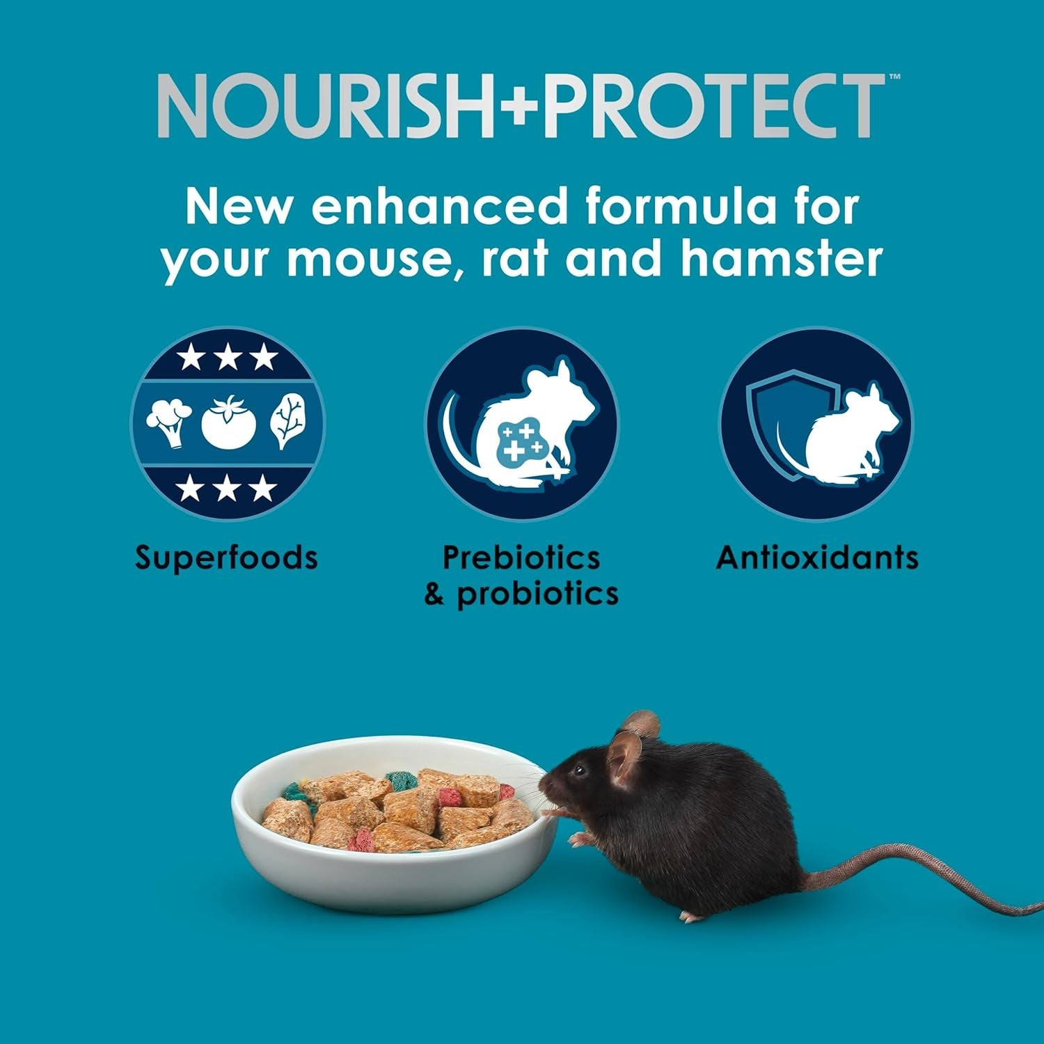 kaytee-forti-diet-pro-health-small-animal-food-for-mouse-and-pet-rats-3-pound