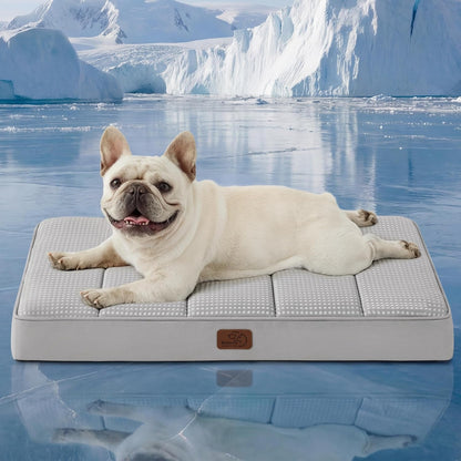 Bedsure Washable Dog Beds Large Sized Dog with Comfy Sherpa, 36X27In Grey | Orthopedic Egg Crate Foam,Comfort Support Flat Rectangle Pet Mat,Non-Slip Bottom,Removable Cover,For Large Breed up to 55 Lbs12