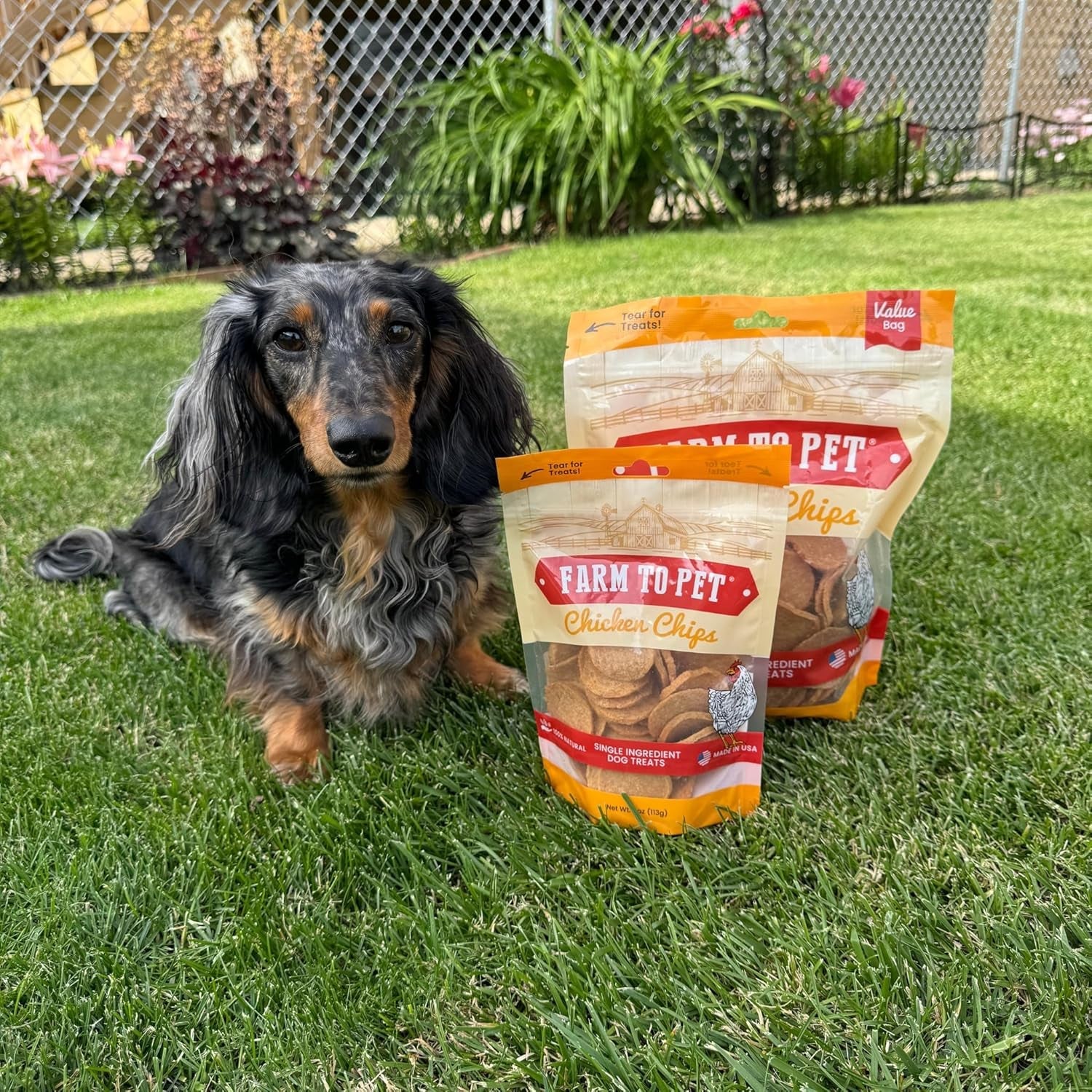 farm-to-pet-dog-training-treats-chicken-chips-single-ingredient-12-oz-lean-all-natural-healthy-dog-treats-for-small-medium-large-breeds-puppies-made-in-usa