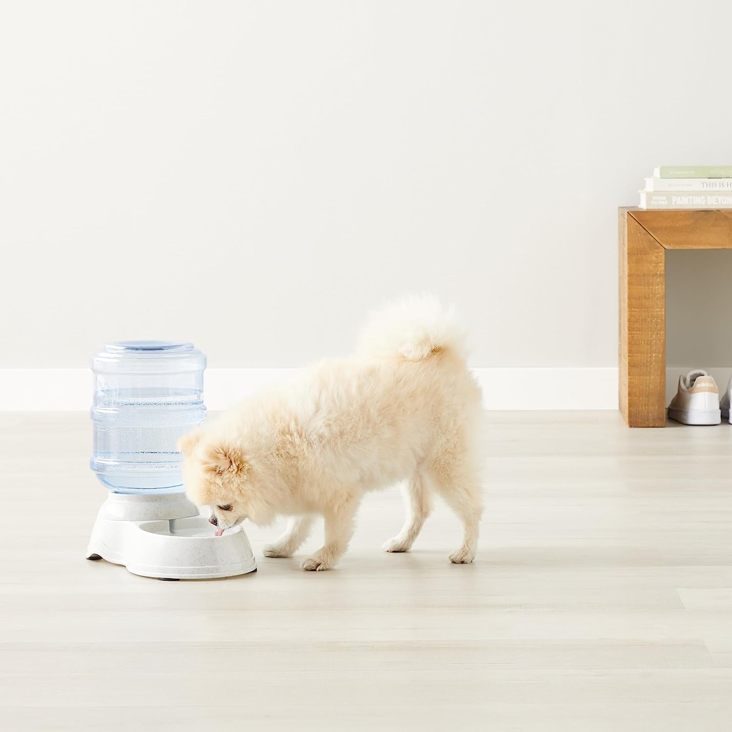 amazon-basics-gravity-pet-water-dispenser-for-cat-and-dog-easy-to-clean-135-3fl-oz-capacity-small